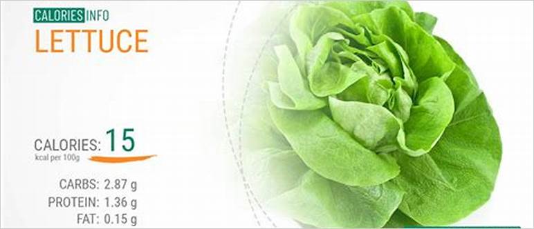 Lettuce leaf calories